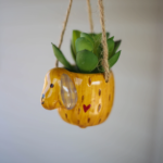 Mini Hanging Succulent Yellow Dog