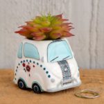 Critter Succulent Car