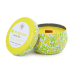SEEKING BALANCE TRAVELER - POMELO PINE-INVIGORATE
