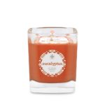 SEEKING BALANCE ESSENTIALS 6OZ - EUCALYPTUS