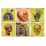 Skeletal Glass Tray, Asst